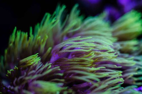 Fluval Edge Februar 2014-3.jpg