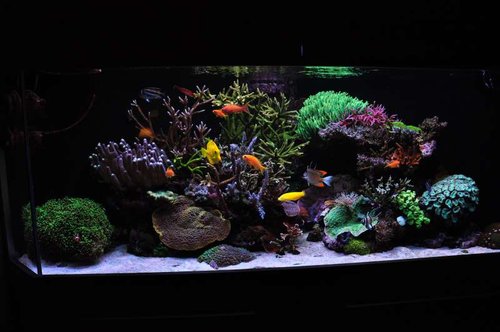 FTS