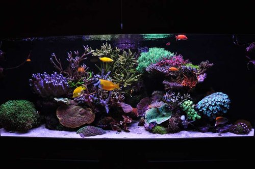 FTS