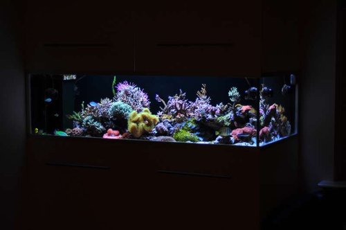 FTS