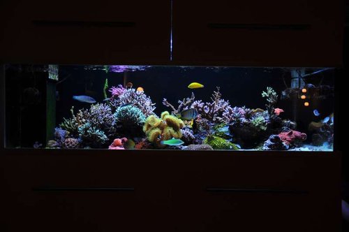 FTS