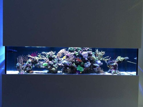 FTS