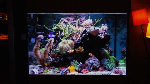 FTS