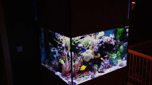 FTS