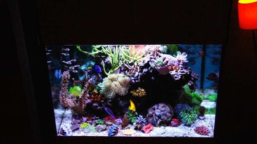 FTS