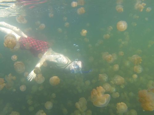 Jellyfish lake!!!