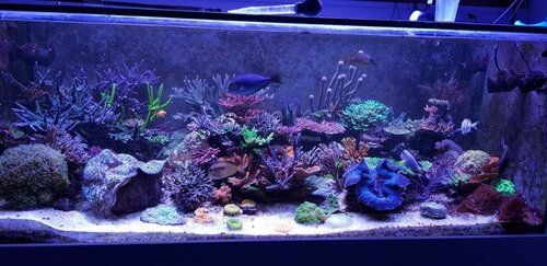 Fts display 30.12.20