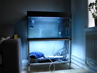 så kom lampen og resten af udstyret i (16.03.2009)