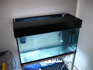 set fra toppen (16.03.2009)