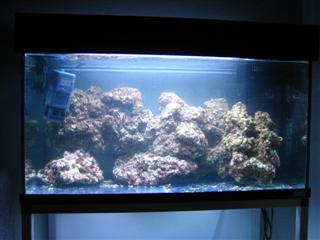 med sten (16.03.2009)