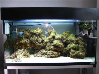 28.03.2009 stadig ingen fisk