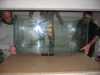 Saltvand 020a.jpg