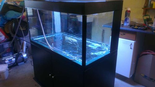 IMAG0153.jpg (32.63 KiB) Vist 4848 gange Prøvefyldning med hane vand, lod det stå en uges tid for at se om der skulle være eventuelle utætheder.