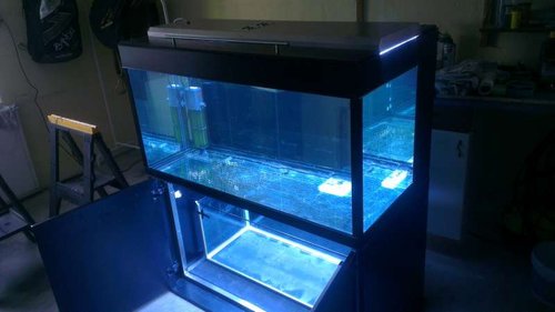 IMAG0179.jpg (28.24 KiB) Vist 4856 gange Der var ingen utætheder så nu var det om at komme videre, købte et aldre akvastabil med alu ramme på 160 liter for en hund inde i byen, fik afmonteret de øverste lister og gav kanten lidt elektrikker tape så man ikke skær sig, dette bliver den nye sump.