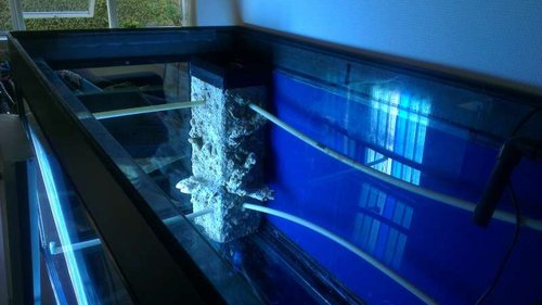 IMAG0317.jpg (35 KiB) Vist 4778 gange Overløb efter montering af DIY skjuler, lavet af to glasplader, lidt smadret oral sten+støv, vand og lidt fragmenter. syntes det er blevet rigtig godt :) 09.03.2013