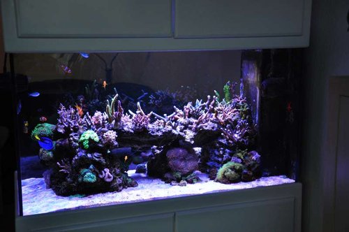 FTS