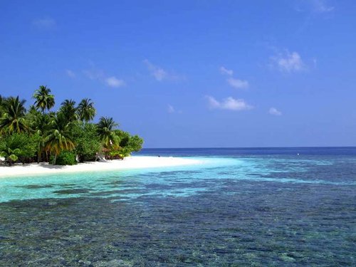 diving-in-maldives.jpg