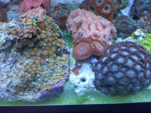 20140130_212307.jpg
