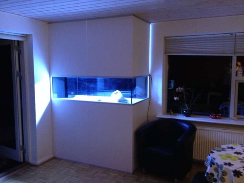 Nye billeder fra 2014 421.JPG
