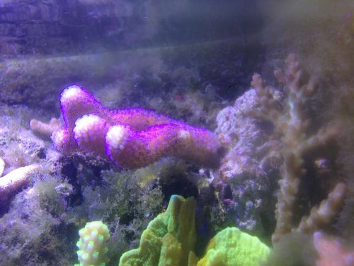foto 3 (4).JPG