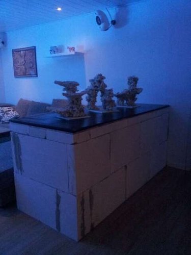 20140202_181643.jpeg