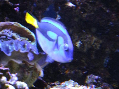 DSCF9549 (Medium).jpg