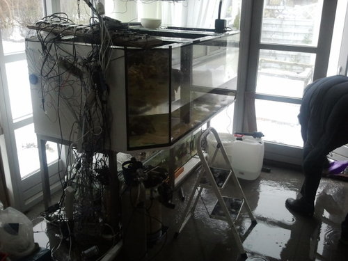 2014-02-01 10.30.53.jpg