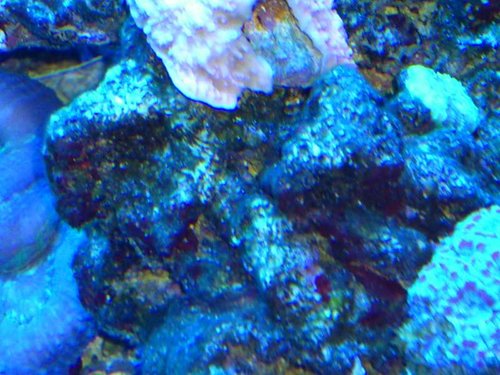 DSC_2136.JPG