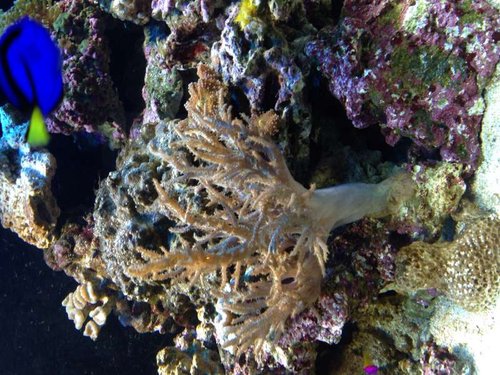 image.jpg (85.86 KiB) Vist 2802 gange Billede 1