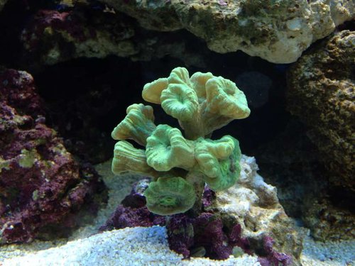 image.jpg (55.64 KiB) Vist 2802 gange Billede 2