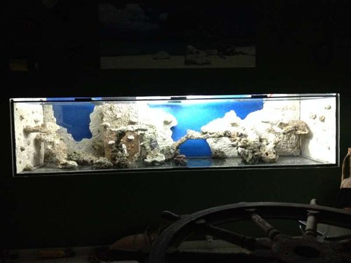 IMG_1387.JPG