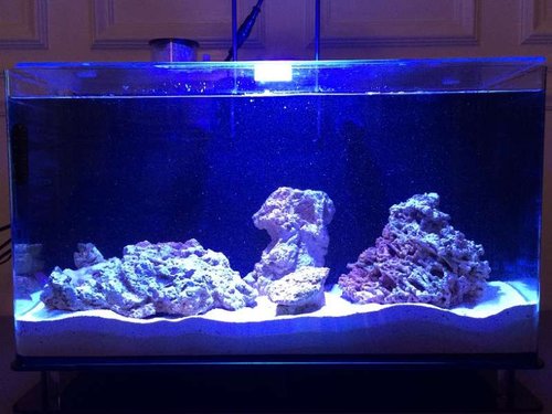 photo (22).JPG