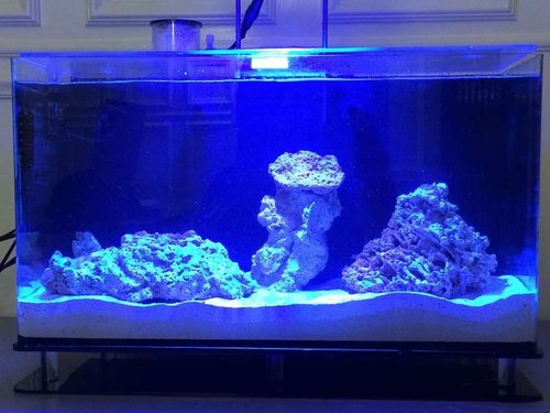 photo (23).JPG