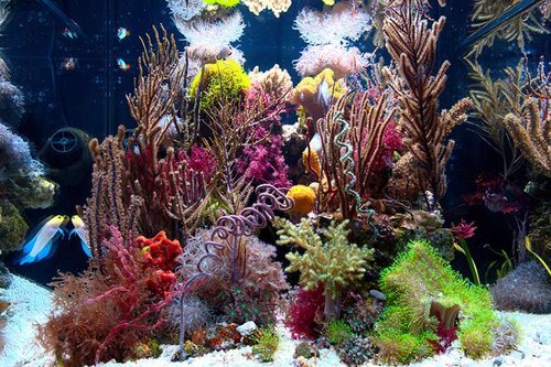 fts.jpg