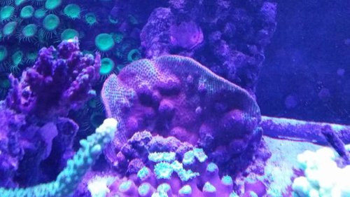20140203_205316.jpg