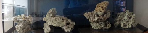 20140212_115224.jpg