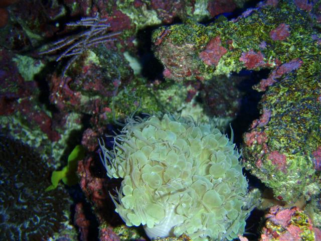 P7060073 (Small).JPG