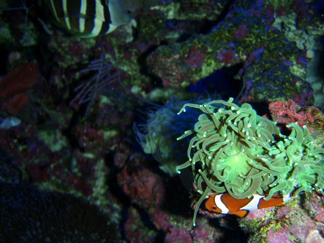 P7060072 (Small).JPG