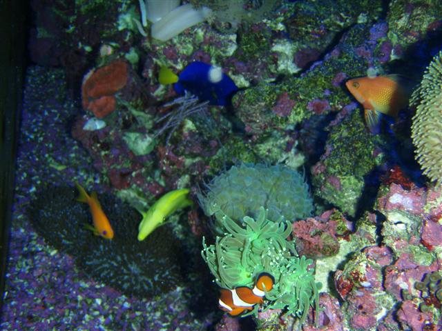 P7060068 (Small).JPG