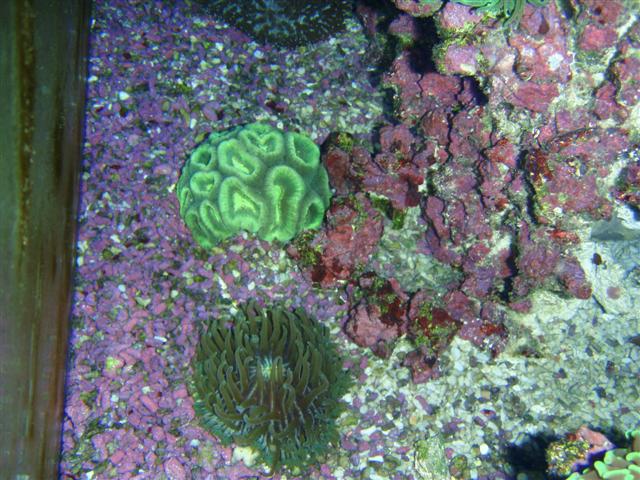 P7060067 (Small).JPG