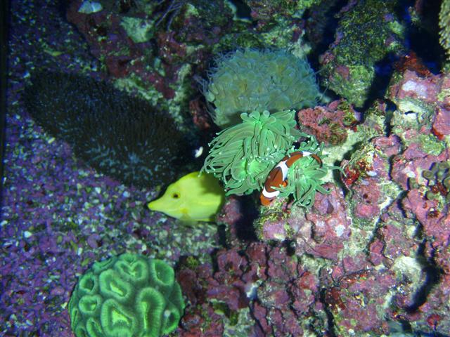 P7060066 (Small).JPG