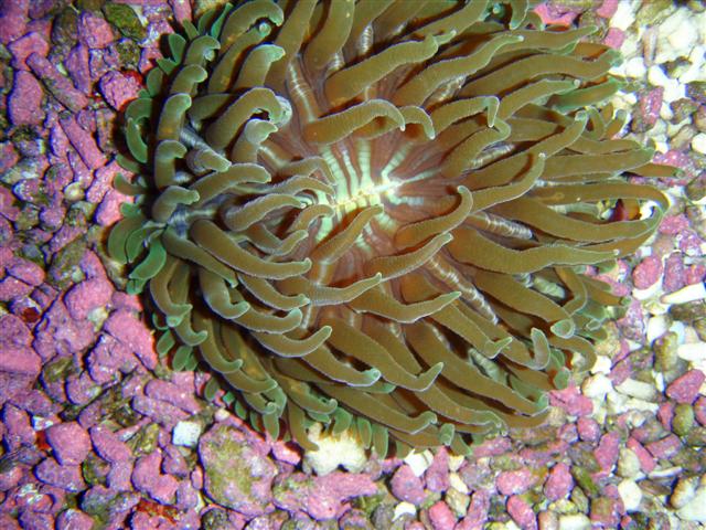 P7060057 (Small).JPG