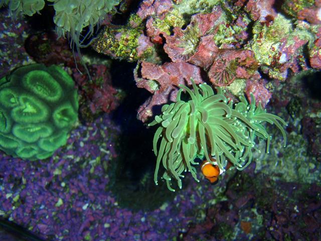 P7060056 (Small).JPG
