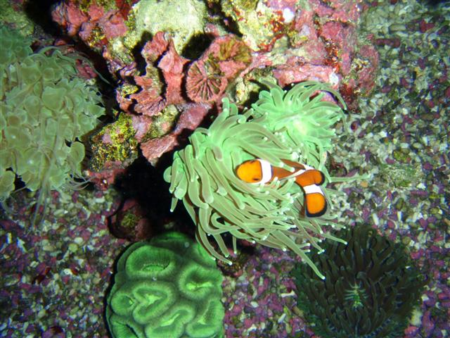 P7060040 (Small).JPG