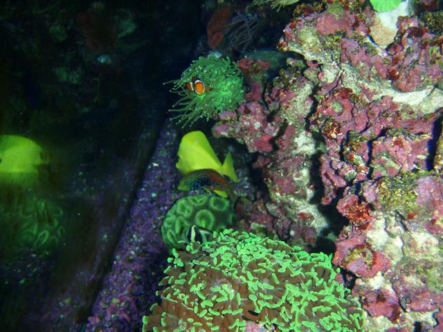 P7060038 (Small).JPG