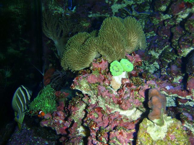 P7060028 (Small).JPG