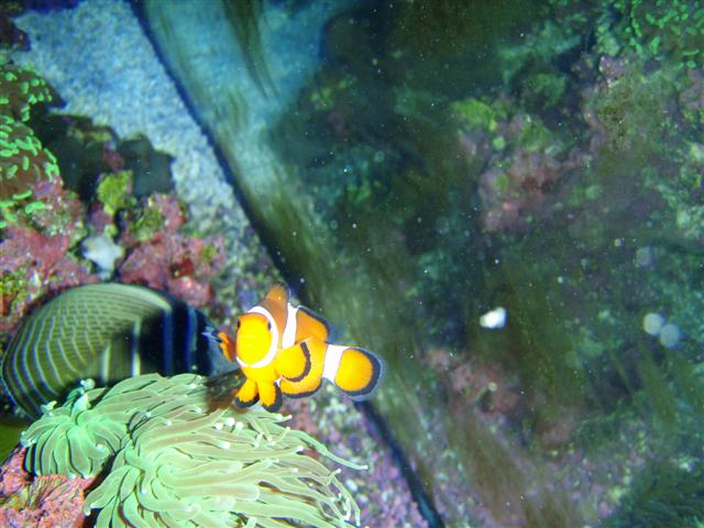 P7060014 (Small).JPG
