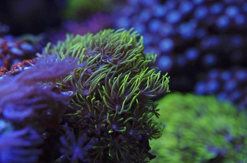 _IGP3476.JPG