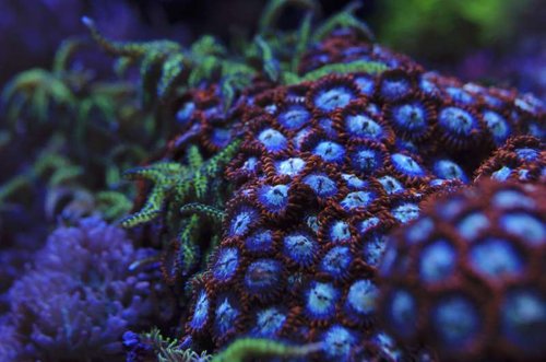 _IGP3474.JPG