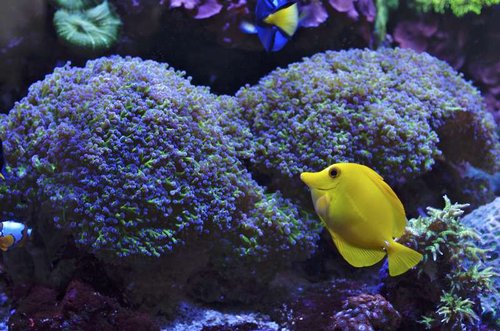 _IGP3459.JPG
